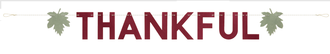 LETRERO THANKFUL