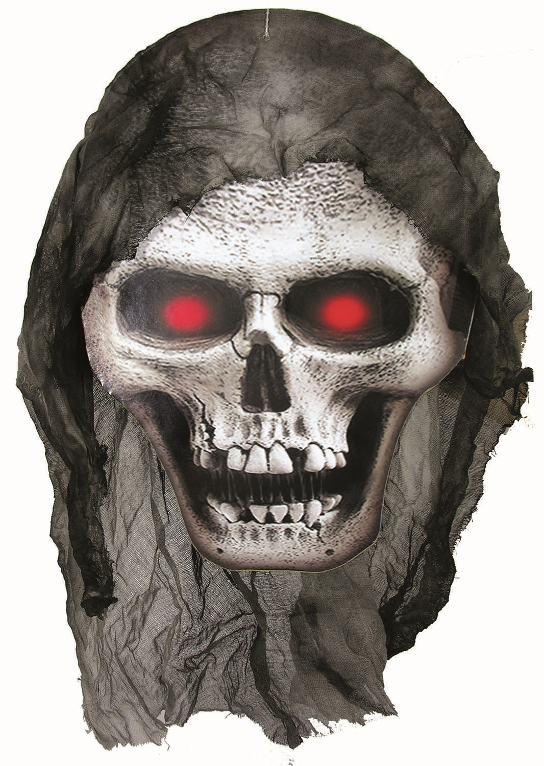 CABEZA CALAVERA CON GAMUZA