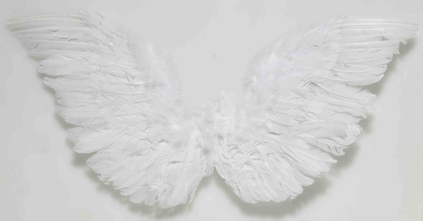 ALAS ANGEL BLANCAS PLUMAS PEQ