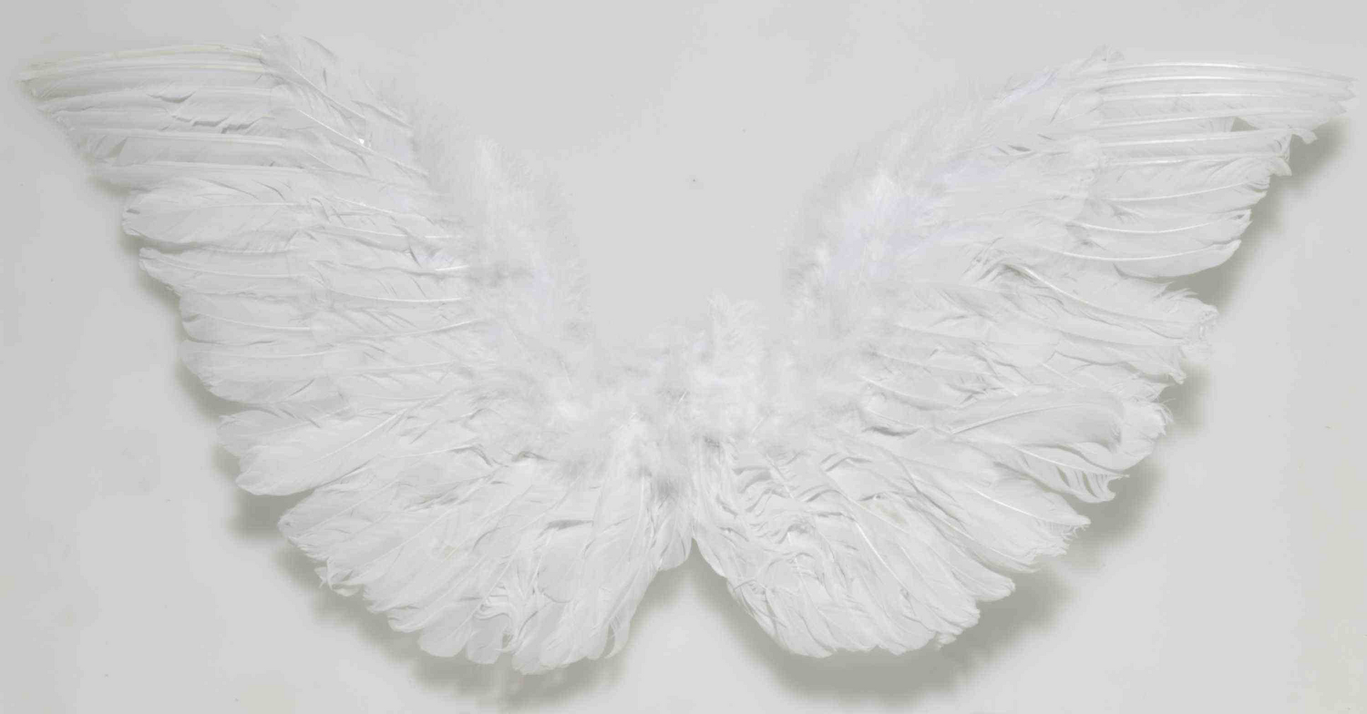 ALAS ANGEL BLANCAS PLUMAS PEQ