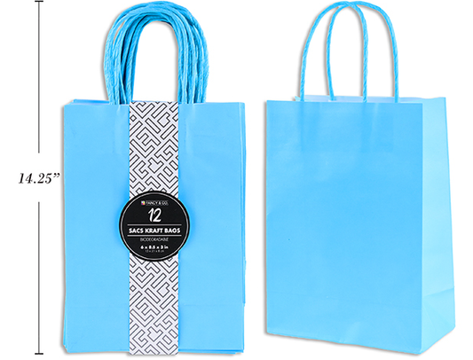 BOLSA REG MEDIUM KRAFT AZUL BB