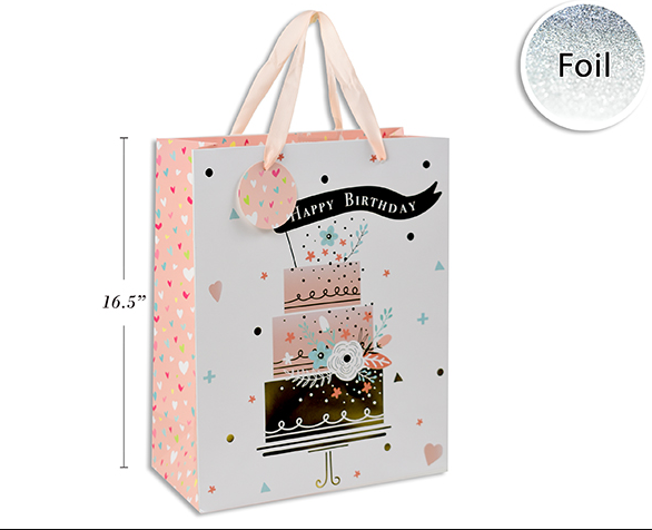 BOLSA REG HBDAY CAKE JUMBO