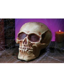 CRANEO CALAVERA 8PG NATURAL