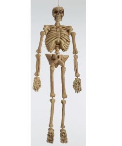 ESQUELETO 5PIES REALISTA