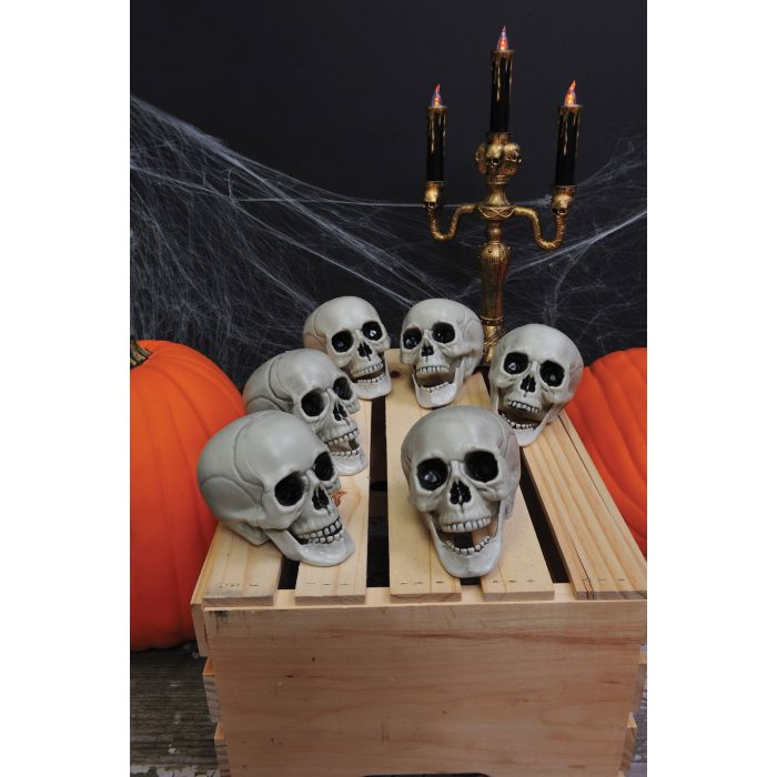 CRANEO CALAVERA 4PG 6UDS