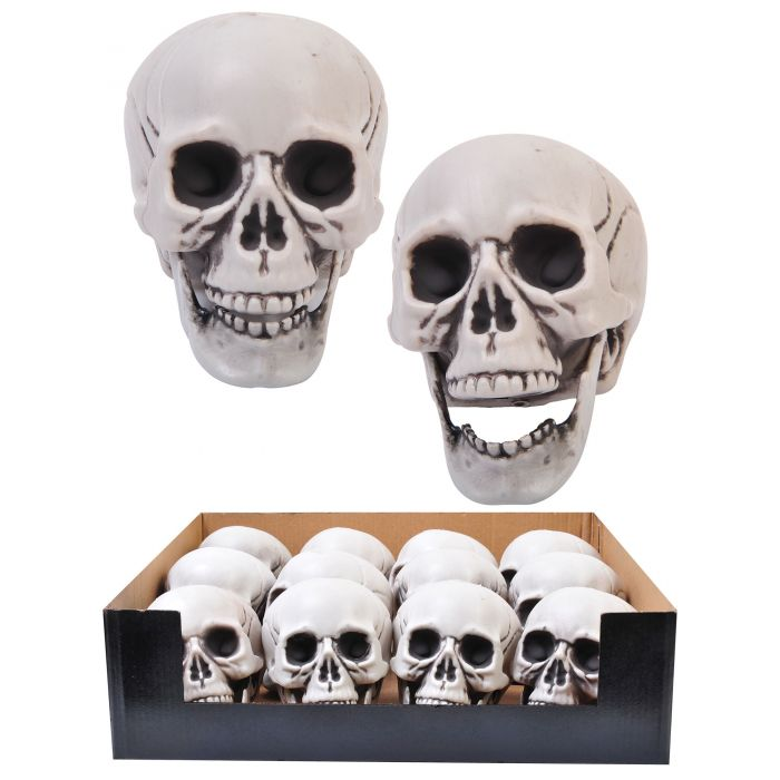 CRANEO CALAVERA 4 PG