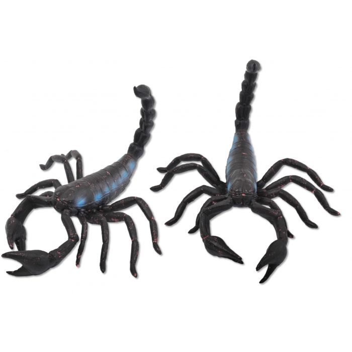 ESQUELETO ESCORPION 10.5 PG