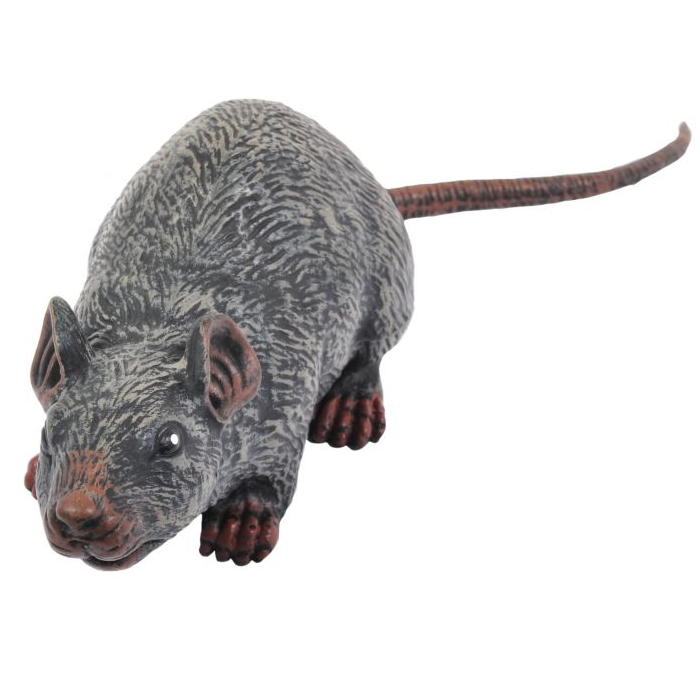 RATA GRANDE 12.25 PULG