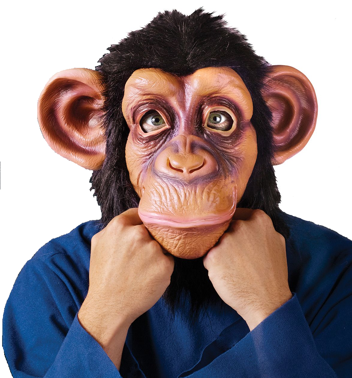 MASCARA CHIMPACE CABEZA COMPL