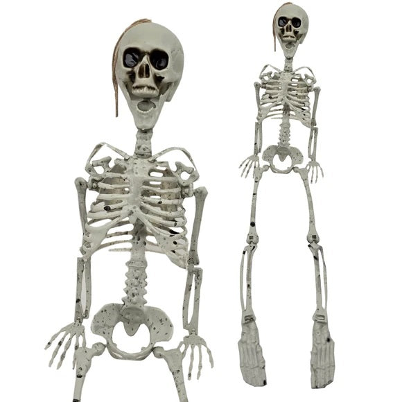 ESQUELETO PLASTICO 35 PG