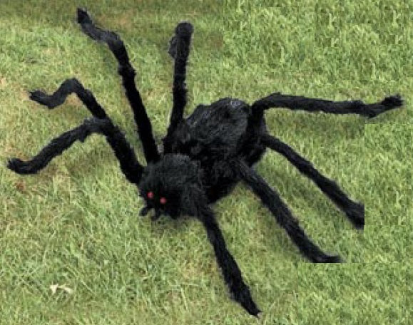 ARAÑA VIUDA NEGRA 3 PIES