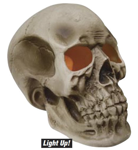 CRANEO CALAVERA GDE LUZ