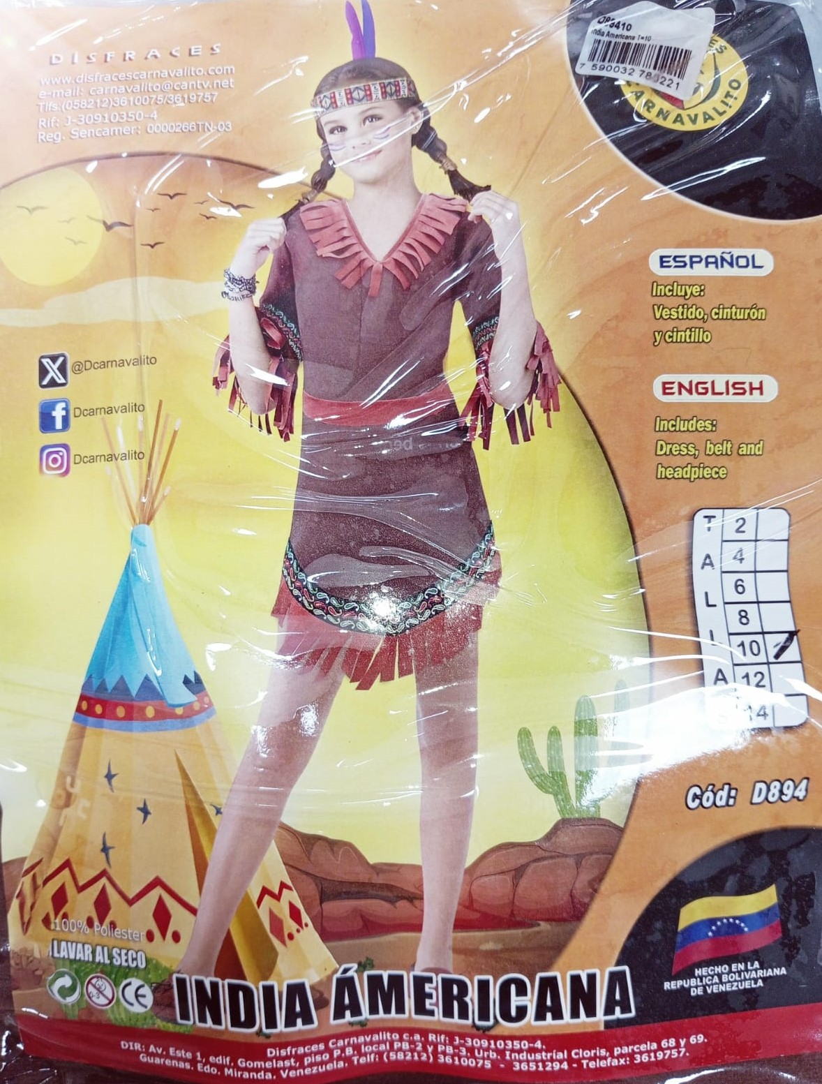 DISFRAZ INDIA AMERICANA 10