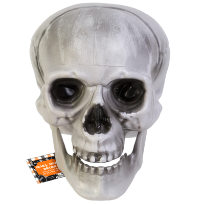 CRANEO MANDIBULA MOVIBLE 8PG