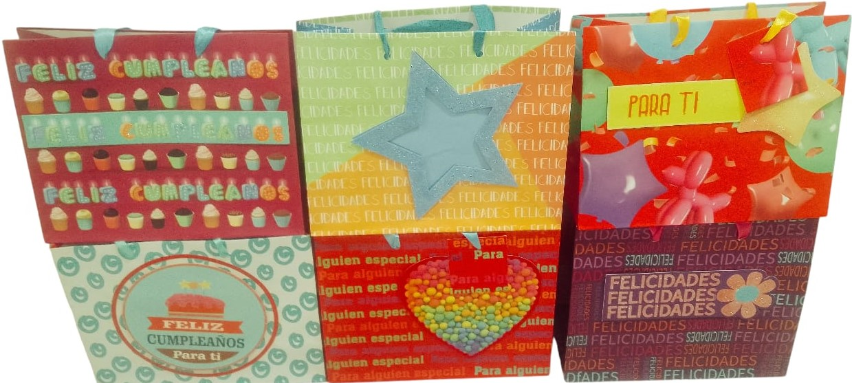 BOLSA REGALO PREMIUM DS3T