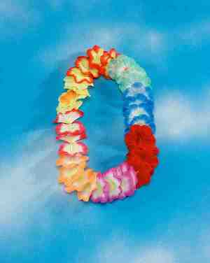 COLLAR HAWAI EXTRA LARGE