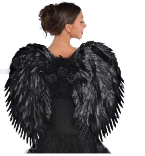ALAS ANGEL PLUMA DE ROSA NEGRA