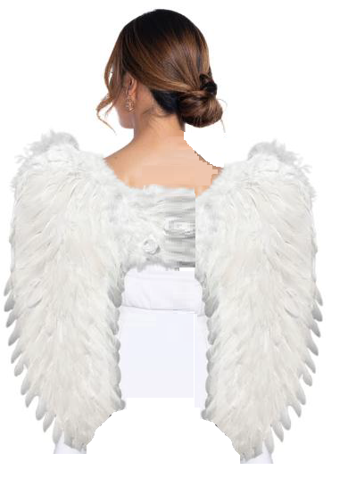 ALAS ANGEL PLUMAS ROSA BLANCA