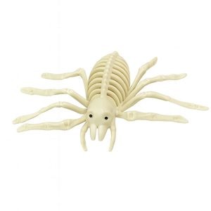 ESQUELETO HUESOS TARANTULA