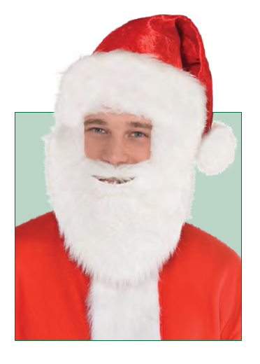 SET SANTA GORRO BARBA