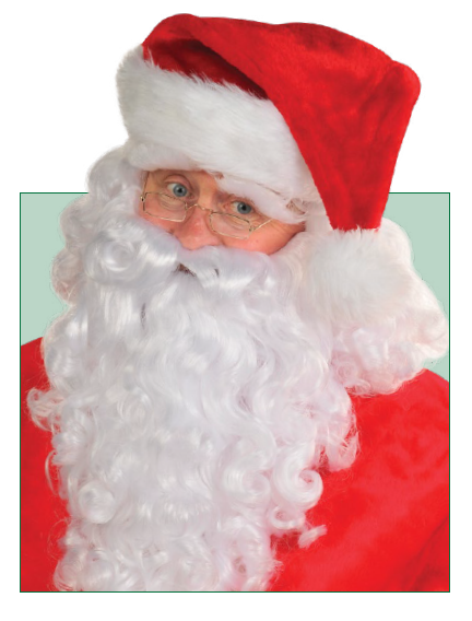 PELUCA BARBA PREMIUM SANTA