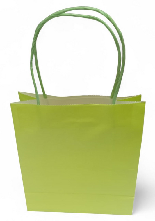 FUNDA PAPEL 18X8X20 VERDE MANZ