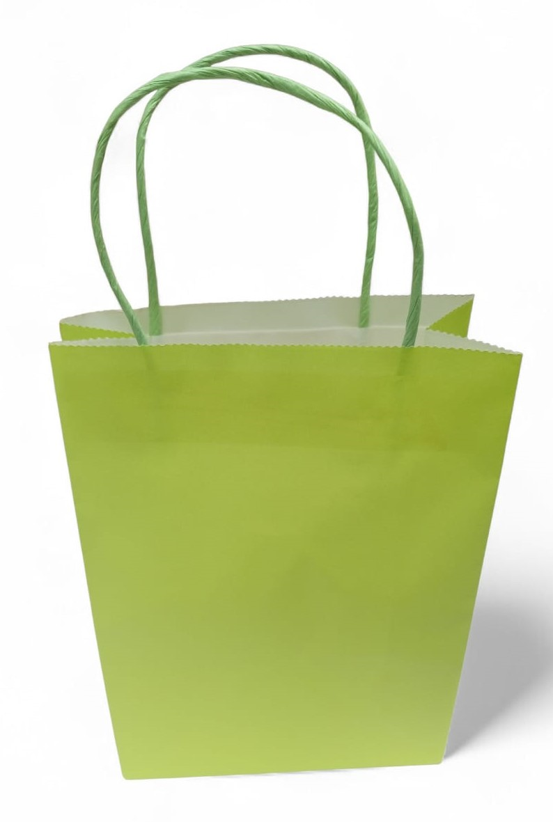 FUNDA PAPEL 18X8X25 VERDE MANZ