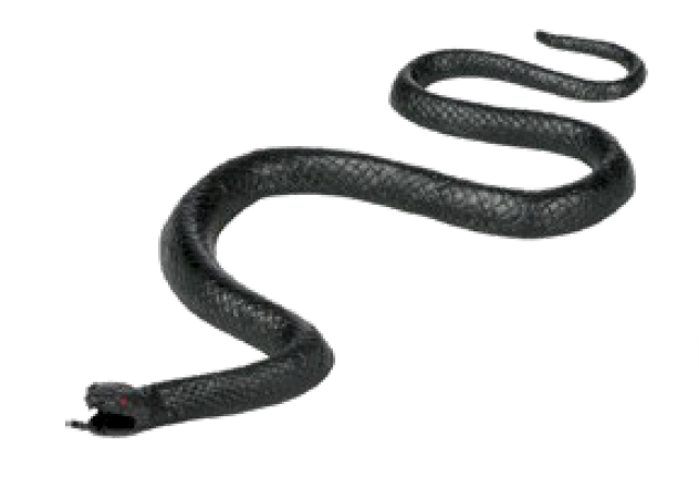 SERPIENTE PEQ PLASTICO UD