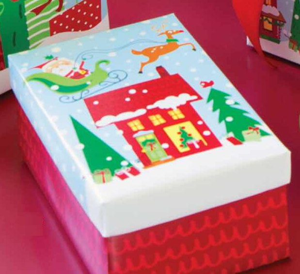 CAJA REG SANTA SMALL