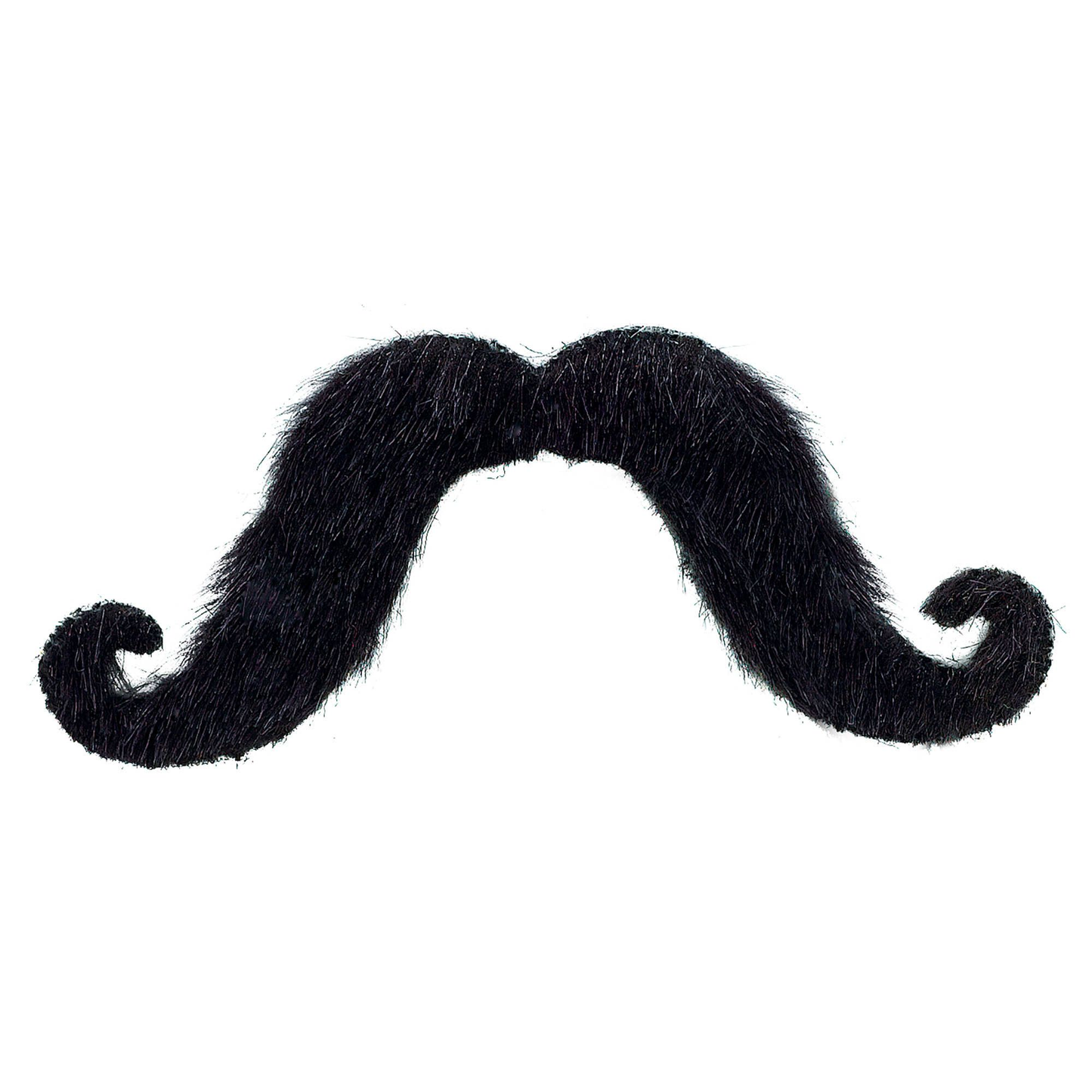 BIGOTE NEGRO UD