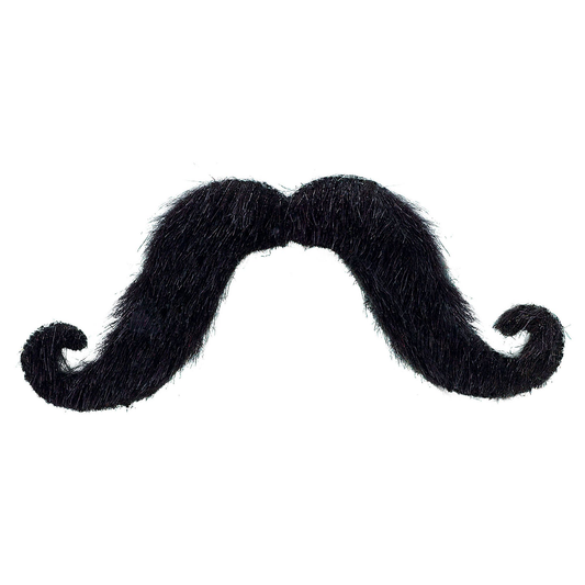BIGOTE NEGRO UD