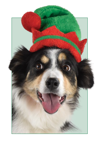 SOMBRERO ELFO MASCOTAS M/L 9X8