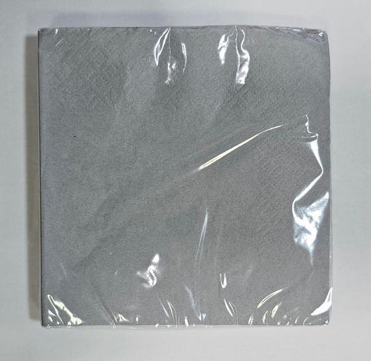 SERV 20 U 25X25CM PLATA