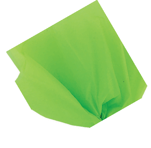 PAPEL DE SEDA VERDE LIMA 10UN