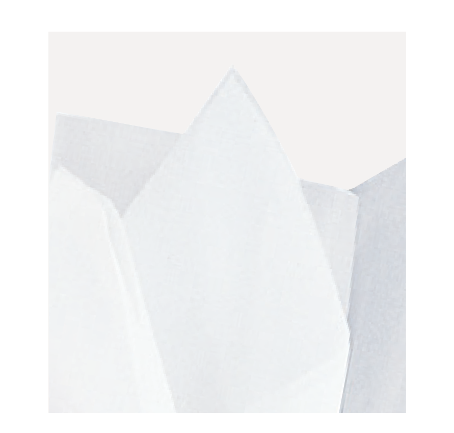 PAPEL DE SEDA BLANCO 10UN