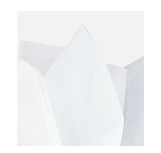 PAPEL DE SEDA BLANCO 10UN