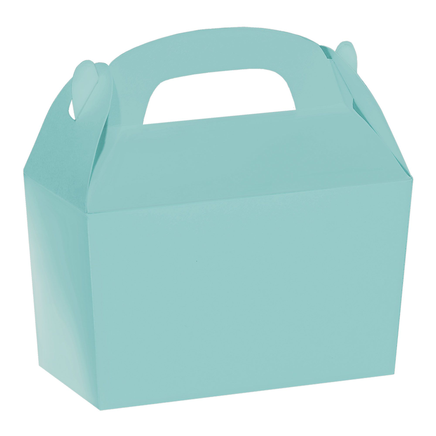 CAJITA CARTON AZUL CELESTE 12
