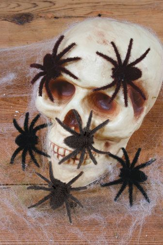 6 ARAÑAS PELUDAS