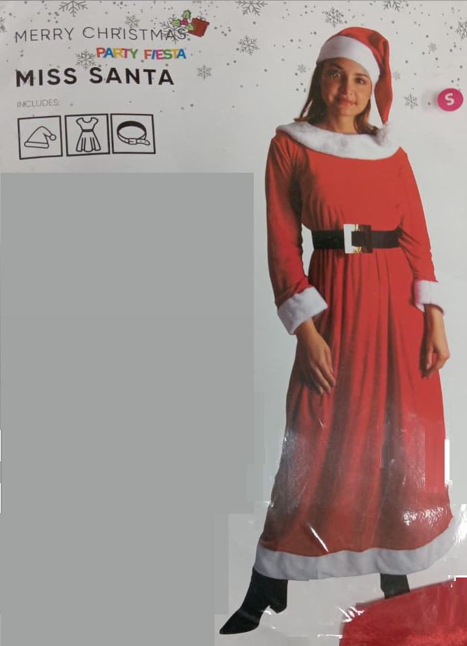 DISFRAZ SANTA LARGA DELUXE S