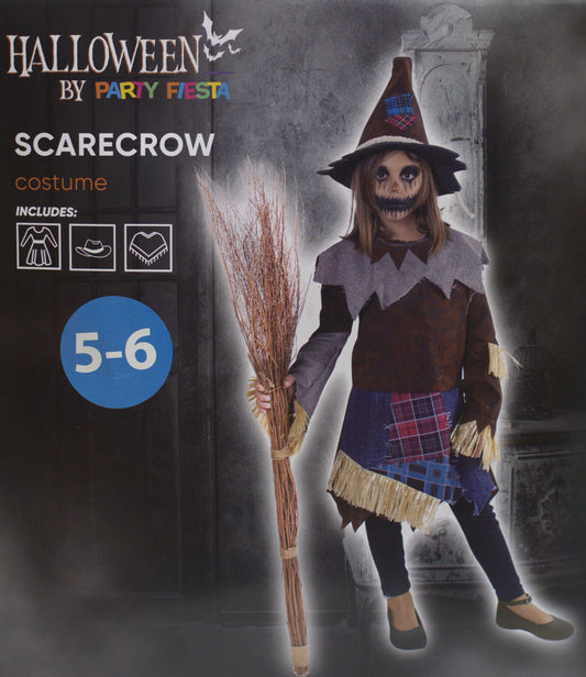 DISFRAZ ESPANTAPÁJAROS NIÑA (5