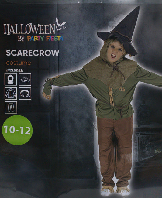 DISFRAZ ESPANTAPÁJAROS (10-12