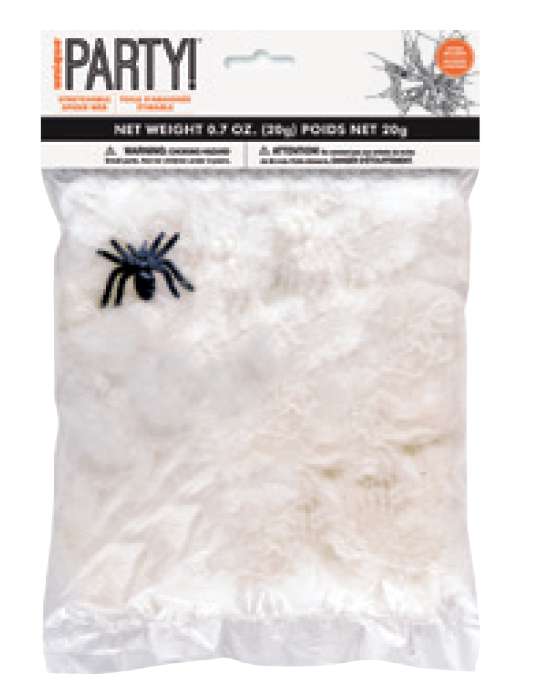 ARANA CON TELARANA PEQUENA